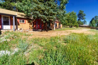 1021 W South Ave in Woodland Park, CO - Building Photo - Building Photo