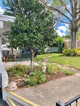 145 E 6th Ave in Mount Dora, FL - Building Photo - Building Photo