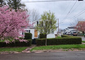 123 W Mohawk St in Oswego, NY - Building Photo