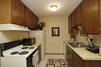 The Village Apartments in Forest Lake, MN - Foto de edificio - Interior Photo