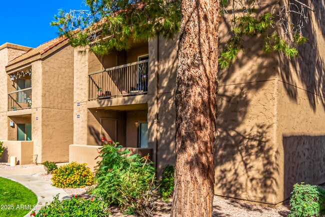 8256 E Arabian Trail in Scottsdale, AZ - Building Photo - Building Photo