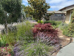 1567 Filippini Way in Petaluma, CA - Building Photo - Building Photo