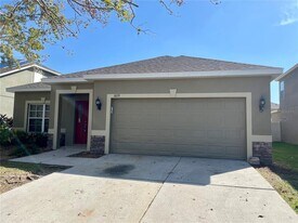 10131 Celtic Ash Dr in Ruskin, FL - Building Photo