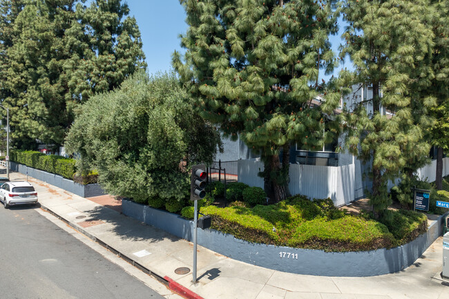 17711 Margate St in Encino, CA - Building Photo - Building Photo