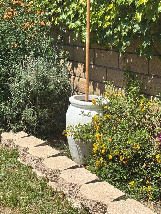 252 Novina Pl in Camarillo, CA - Building Photo