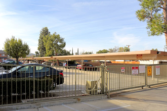 Mayberry Colony Apartments in Hemet, CA - Building Photo - Other