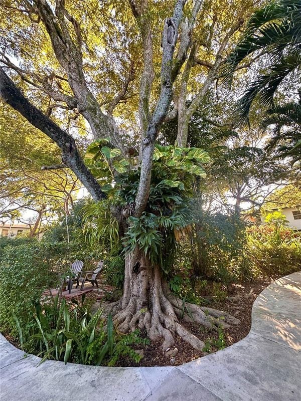 7940 SW 55th Ave in Miami, FL - Foto de edificio - Building Photo