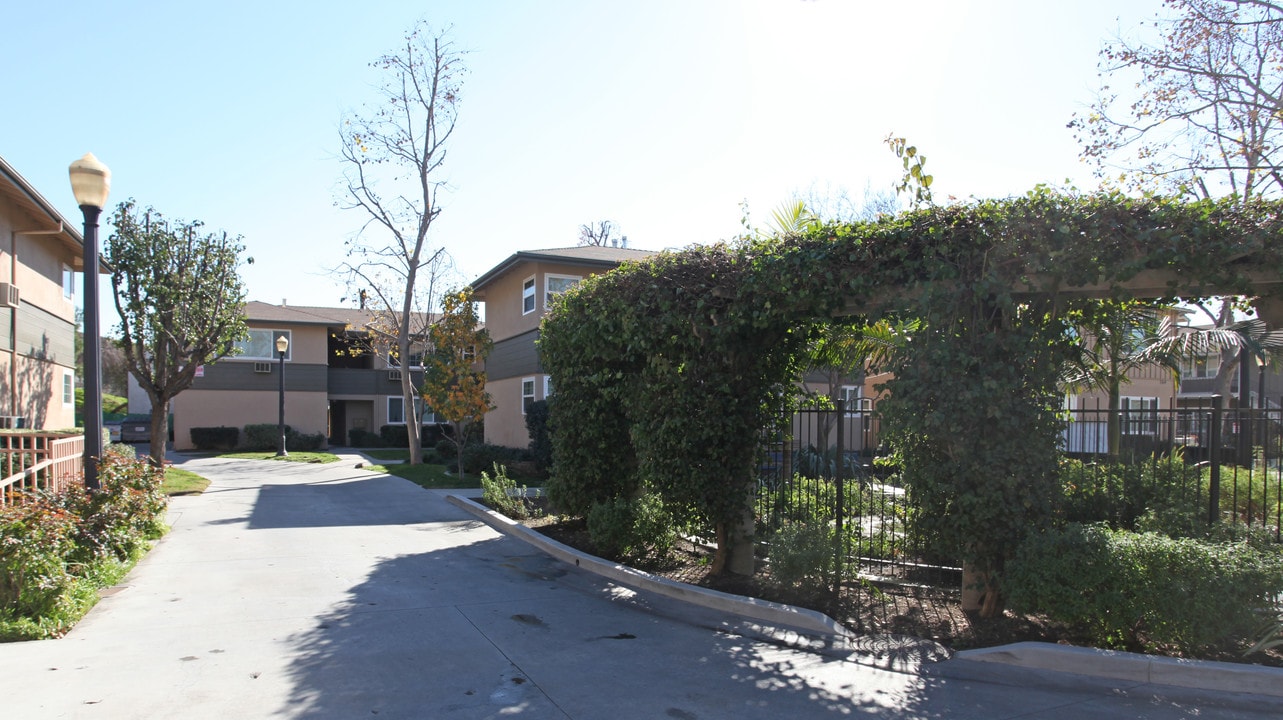 158 W Elmwood Ave in Burbank, CA - Building Photo