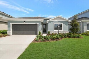11865 Mile Marsh Dr in Riverview, FL - Building Photo