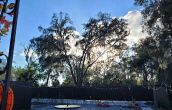 5319 NE 29th St in Silver Springs, FL - Foto de edificio - Building Photo