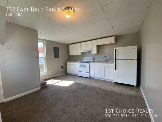 property at 132 E Bald Eagle St