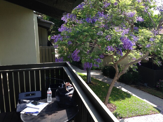 property at 4921 Indian Wood Rd