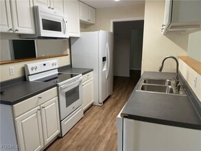 247 Citrus St in La Belle, FL - Building Photo - Building Photo