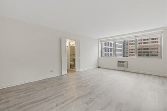 253 E Delaware Pl, Unit #  012H in Chicago, IL - Building Photo - Building Photo