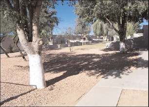 Stadium Court in Glendale, AZ - Building Photo - Building Photo