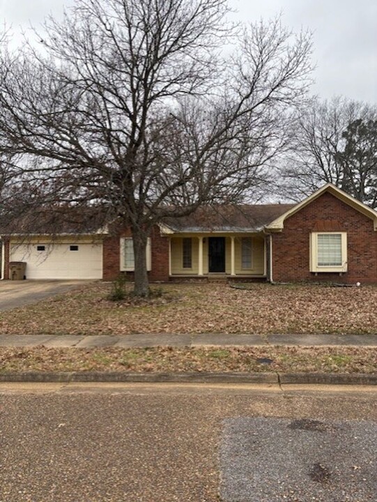 3751 Birchvale Dr in Memphis, TN - Building Photo