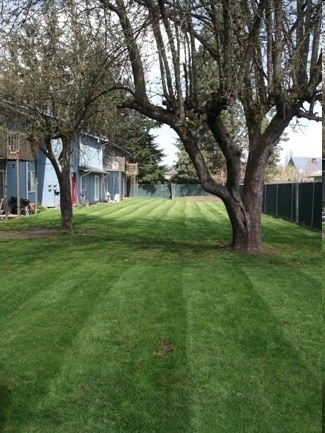 Auburn Manor Apartments in Auburn, WA - Foto de edificio - Building Photo