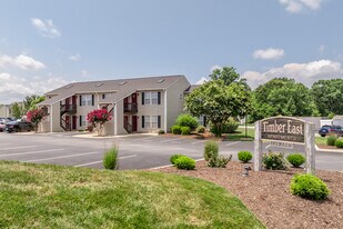 Timber East Apartments in Lynchburg, VA - Building Photo