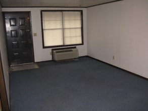 715 California Ave in Rochester, PA - Building Photo - Building Photo
