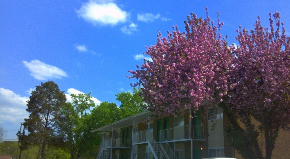 Pleasant Terrace in Knoxville, TN - Building Photo