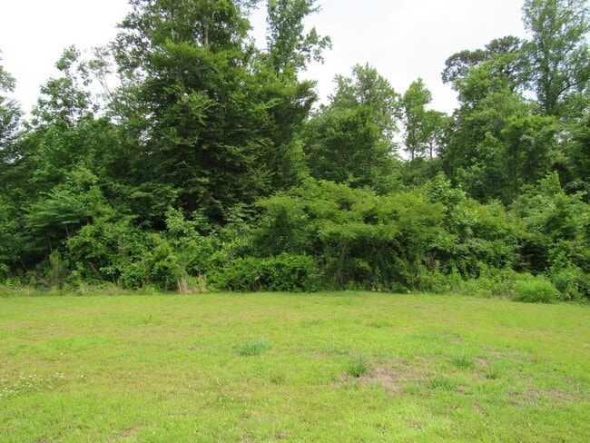 136 Laredo Dr in Jacksonville, NC - Building Photo - Building Photo