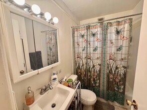 102 N Lincoln Ave, Unit 3 in Urbana, IL - Foto de edificio - Building Photo