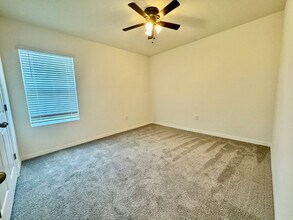 33481 Apricot Tree Ct in Wesley Chapel, FL - Building Photo - Building Photo
