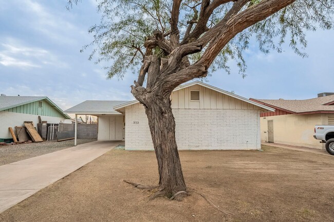 3133 W Cholla St in Phoenix, AZ - Building Photo - Building Photo