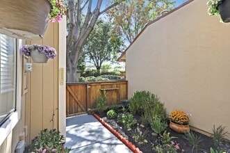 545 Cassatt Way in San Jose, CA - Building Photo - Building Photo
