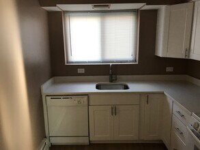 1119 Greenleaf Ave in Wilmette, IL - Building Photo - Building Photo