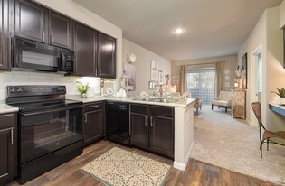 Still Waters at Southpark Meadows