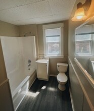 393 Pine Ave in Holland, MI - Building Photo - Building Photo
