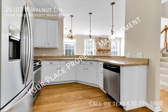 24107 Walnut Cir in Plainfield, IL - Building Photo - Building Photo