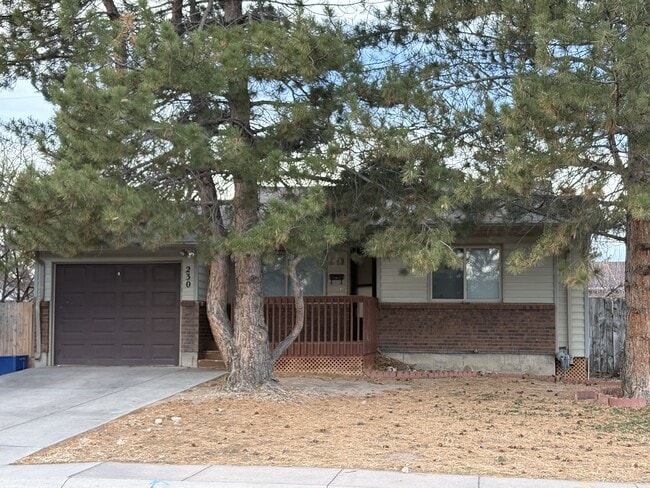 230 Reed Ave in Cheyenne, WY - Building Photo - Building Photo