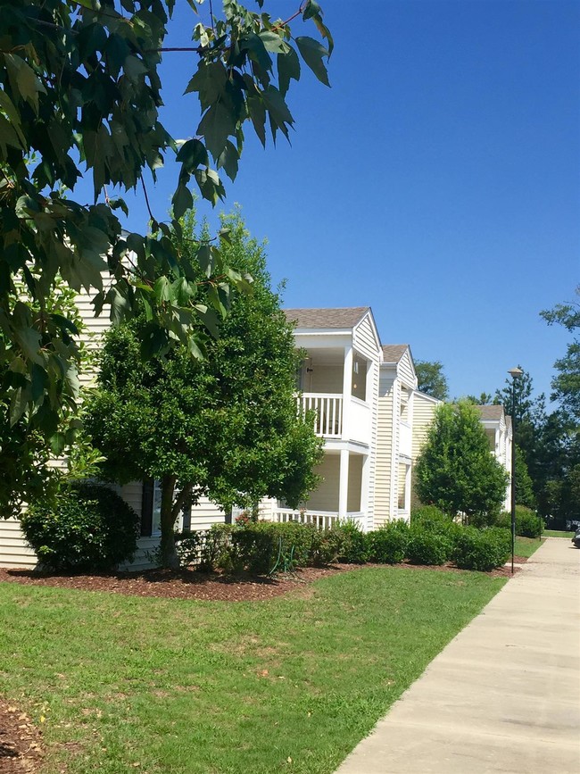 Sage Pointe Apartments in Florence, SC - Building Photo - Building Photo