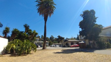 The Palm Glen Apartments in Glendale, CA - Building Photo - Other