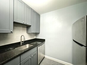 663 W Grace St in Chicago, IL - Foto de edificio - Building Photo