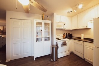 310 Lathrop Ave, Unit 401 in Forest Park, IL - Building Photo - Building Photo