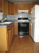 9203 Roundwood Ct in Tampa, FL - Building Photo - Building Photo