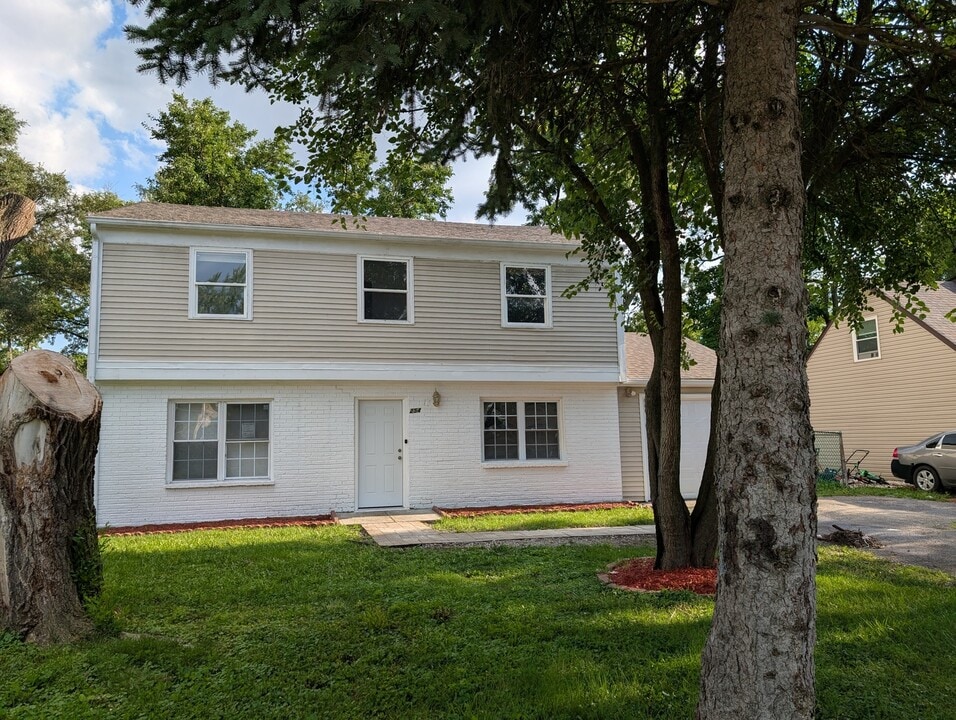 254 Thornhurst Rd in Bolingbrook, IL - Building Photo