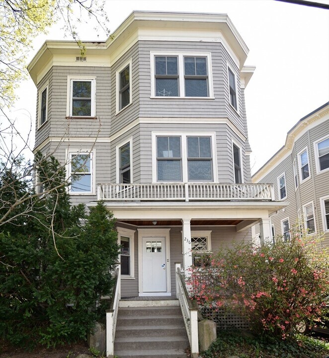 236 Chestnut St in Cambridge, MA - Building Photo