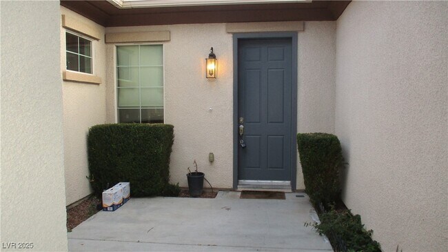 916 Viscanio Pl in Las Vegas, NV - Building Photo - Building Photo
