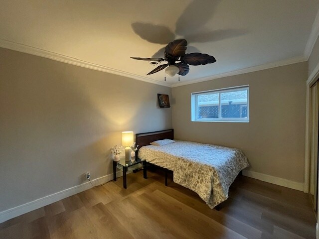 914 Crestview Dr in San Carlos, CA - Building Photo - Building Photo