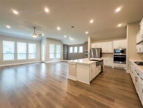 337 Alicante Ln in Liberty Hill, TX - Building Photo - Building Photo