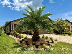 41 Forest Spring Dr in Nocatee, FL - Building Photo - Building Photo