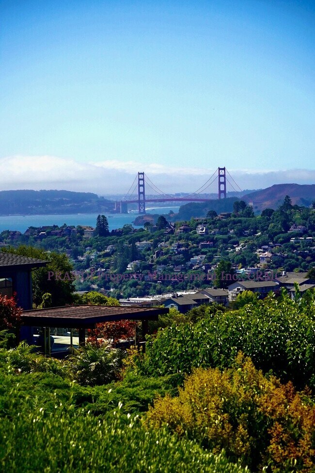 3 Bartel Ct in Tiburon, CA - Building Photo - Building Photo