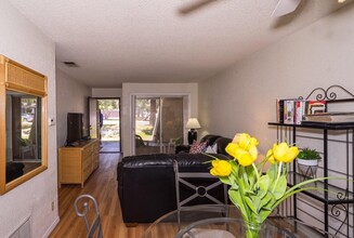 2857 N Los Felices Rd in Palm Springs, CA - Building Photo - Building Photo