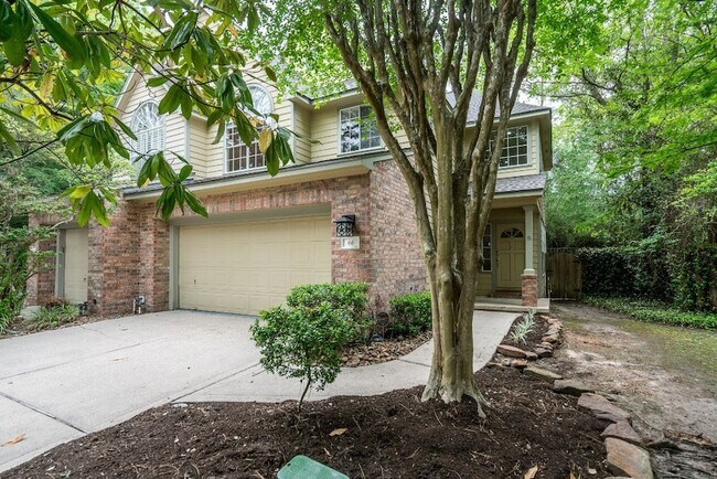 66 Lakeridge Ct in The Woodlands, TX - Foto de edificio - Building Photo