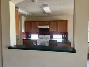 20406 Linden Tree Dr in Katy, TX - Building Photo - Building Photo