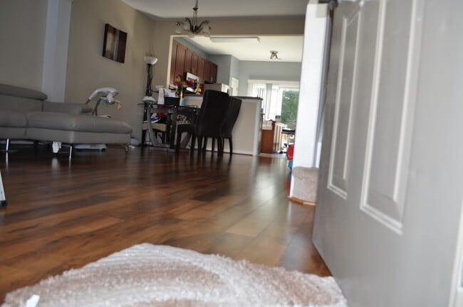 405 Berlin Way in Morrisville, NC - Building Photo - Building Photo